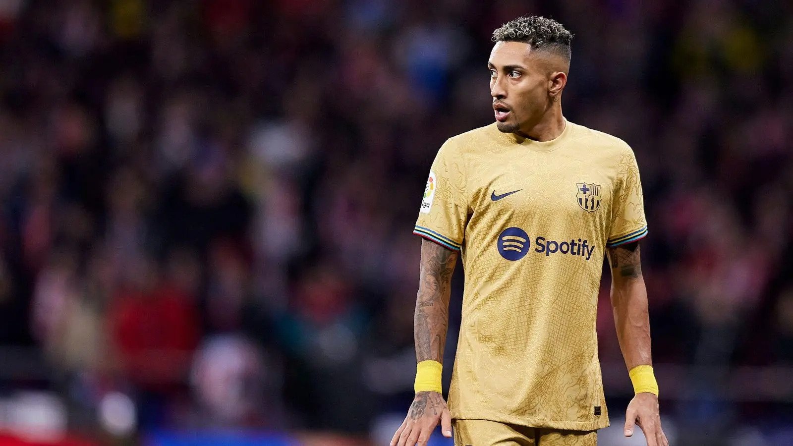 რაფინიამ ჩავის გამოწვევა შეასრულა