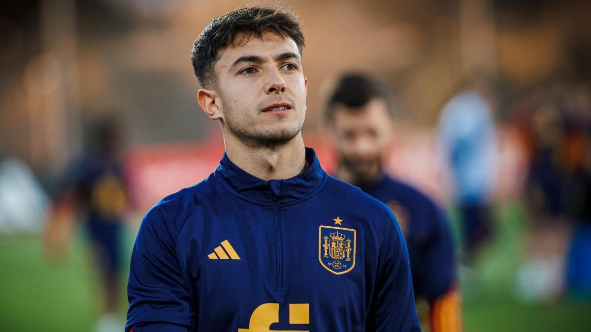 ოპერაცია ზუბიმენდი შეუჩერებელია!