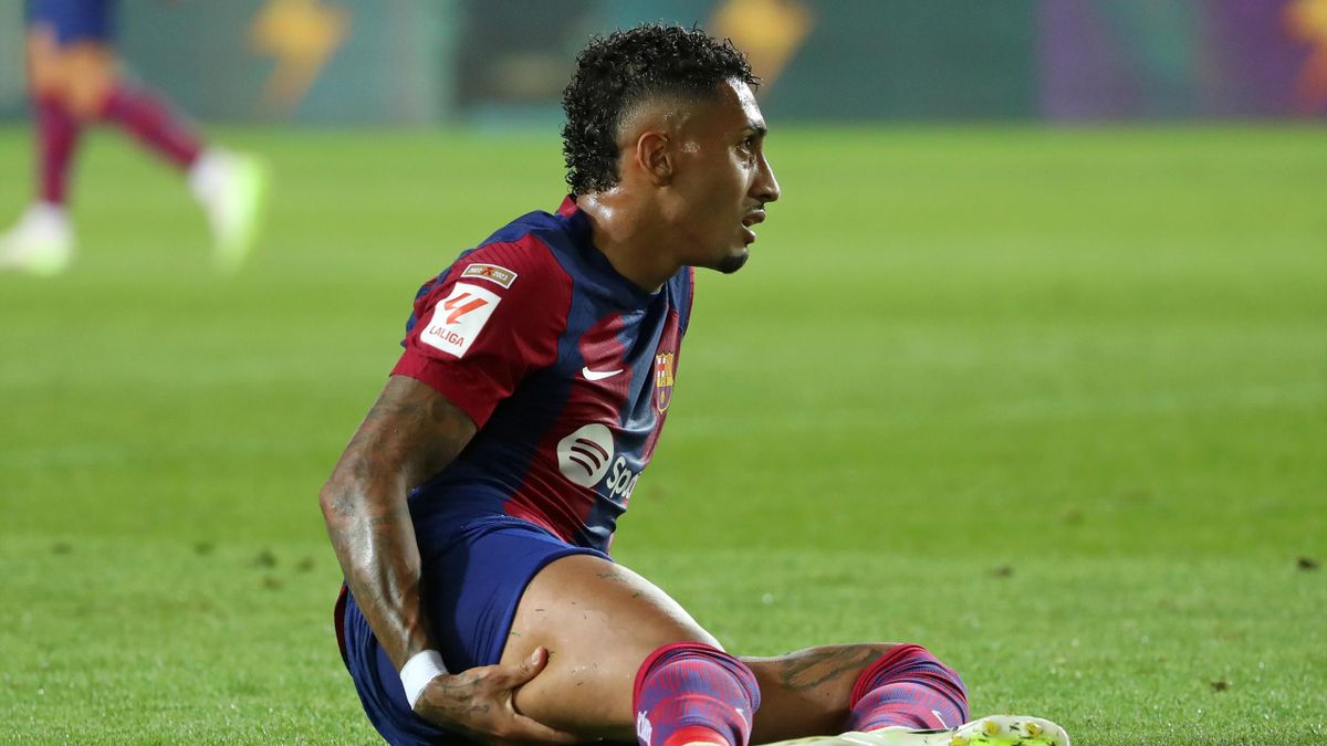 რაფინიას შემცვლელი სჭირდება - 3 კანდიდატი