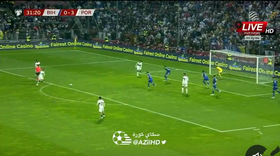 VIDEO: კარის ბადე გახვრიტა - კანსელუს გოლი ბოსნიასთან