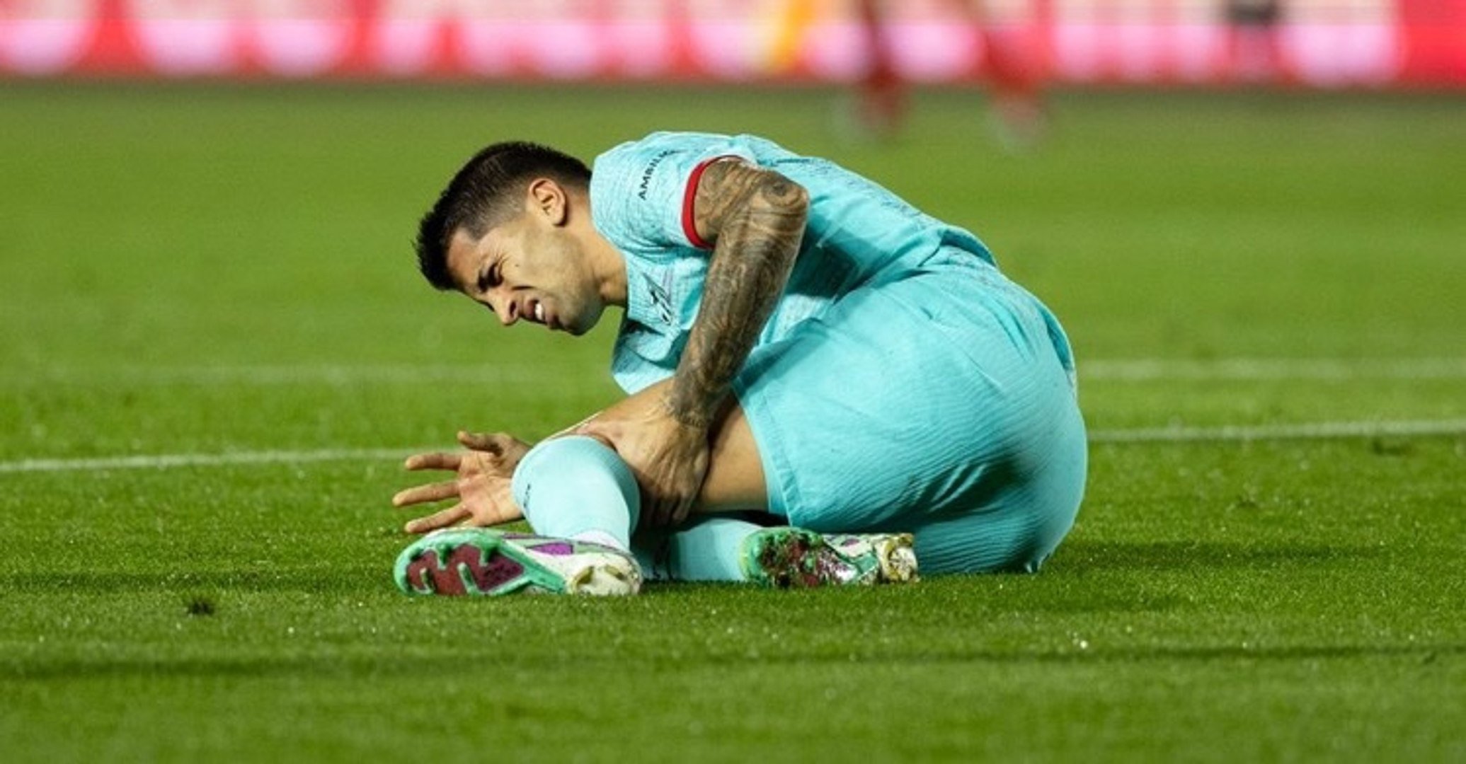 ვინ შეცვლის კანსელუს - ჩავის სავარაუდო არჩევანი